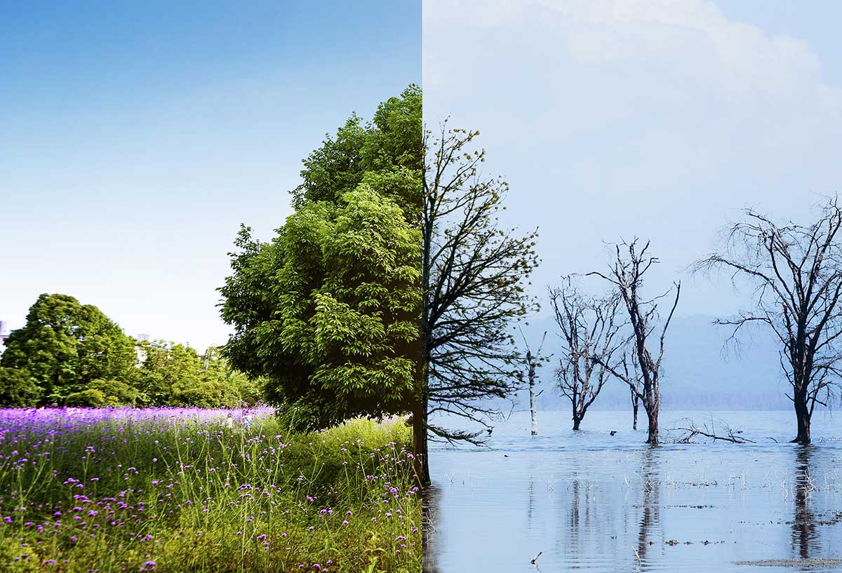 Climate Change and Sustainability